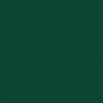 Fern Green 07